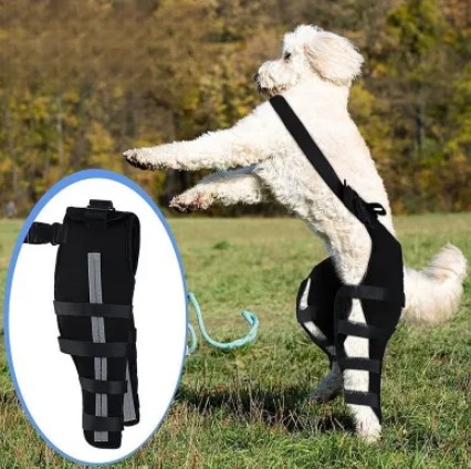  - Hinged Dog Double Leg Brace