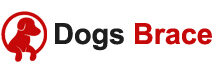 dogsbrace - Grid Dog Lift Harness for Back Legs