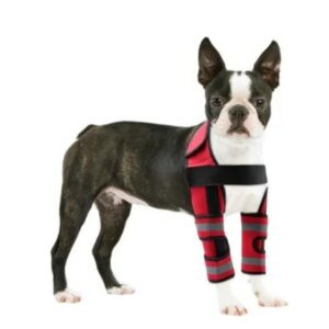  - Best Dogs Brace Suppliers & Manufacturers in China