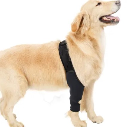  - Dog Elbow Support Brace