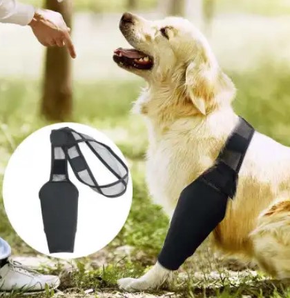  - Dog Elbow Support Brace