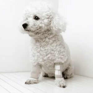  - Dog Front Leg Carpal Splint