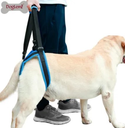  - Dog Rear Harness with Handle for Lifting