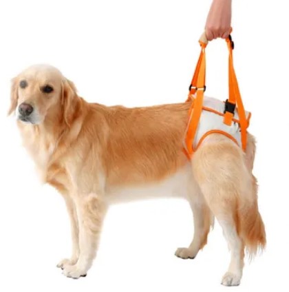  - Back Leg Dog Harness