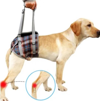  - Grid Dog Lift Harness for Back Legs