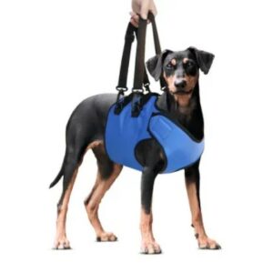  - Oxford Front Leg Support Harness